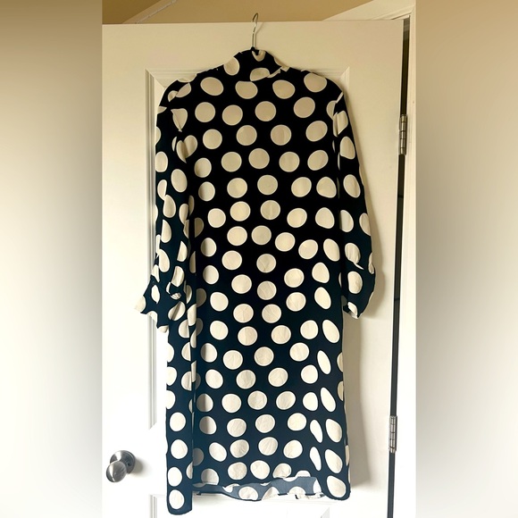 ZARA LIMITED EDITION DRESS - Picture 4 of 5